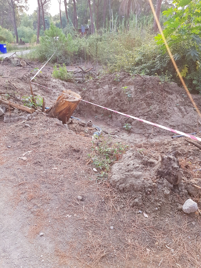 WhatsApp Image 2023-08-25 at 12.08.01 (1)