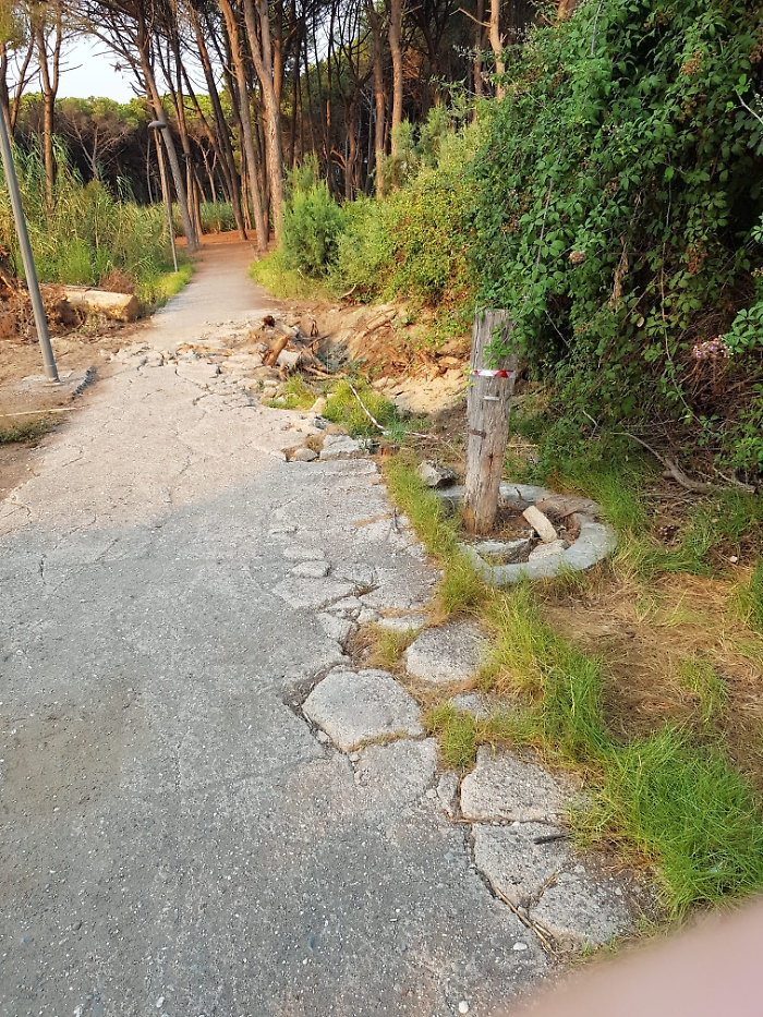 WhatsApp Image 2023-08-25 at 12.08.01