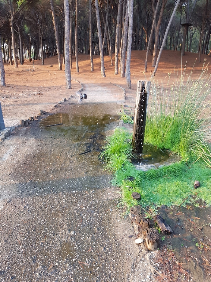 WhatsApp Image 2023-08-25 at 12.08.02