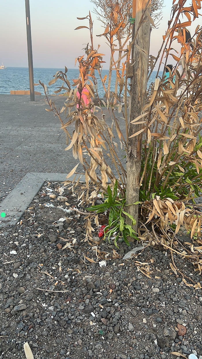 Catania: degrado lungomare Ognina