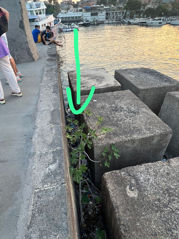 Catania: degrado lungomare Ognina