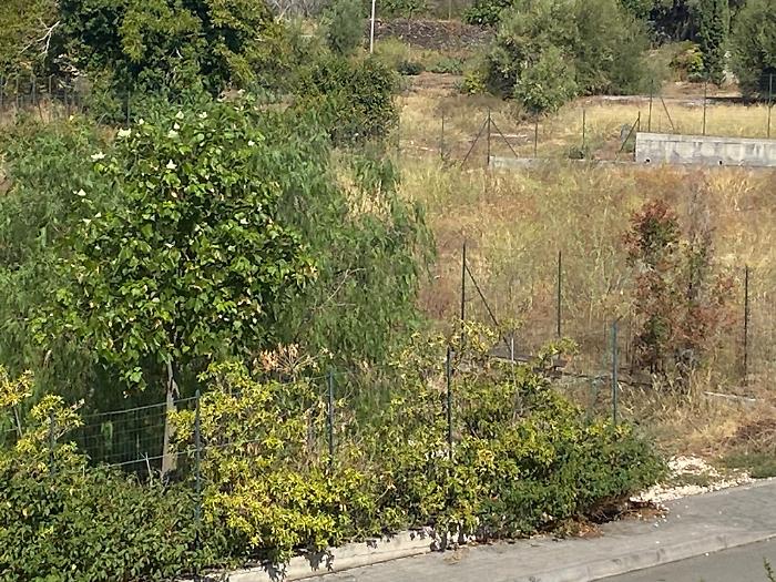 via-Sebastiano-Catania