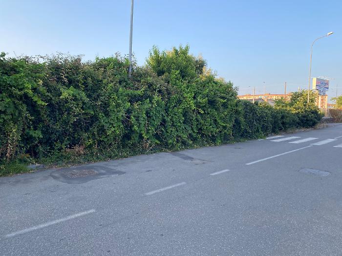 via Sebastiano Catania,4