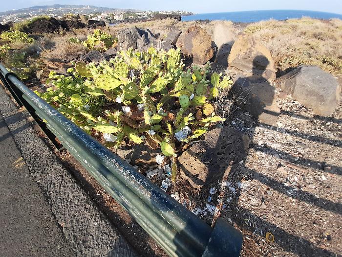 Catania-triste-lungomare-di-rifiuti6