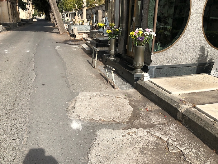 126D357F-1FF0-4081-8B22-86A30EF61641