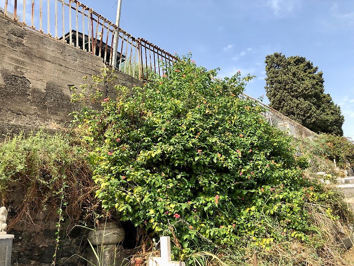 5BD37690-4FB8-4850-A9DE-AAA1D4C27E6F