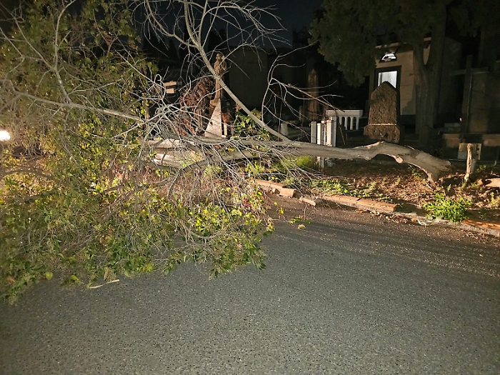 63590f5d-c79a-44ce-80a5-1a2929394401-1