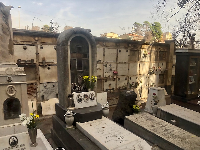 A5182999-F324-4DCB-8C19-C79D5F138ADC