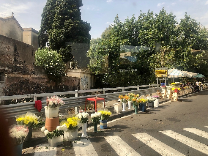 AA656A25-1021-470E-ACE8-7C6A4182CC62