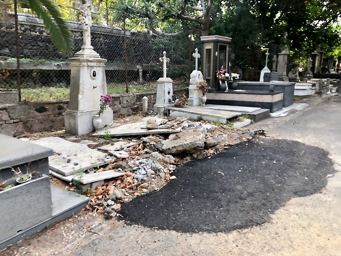 B82936E8-03B2-4346-A264-6F9646996A18