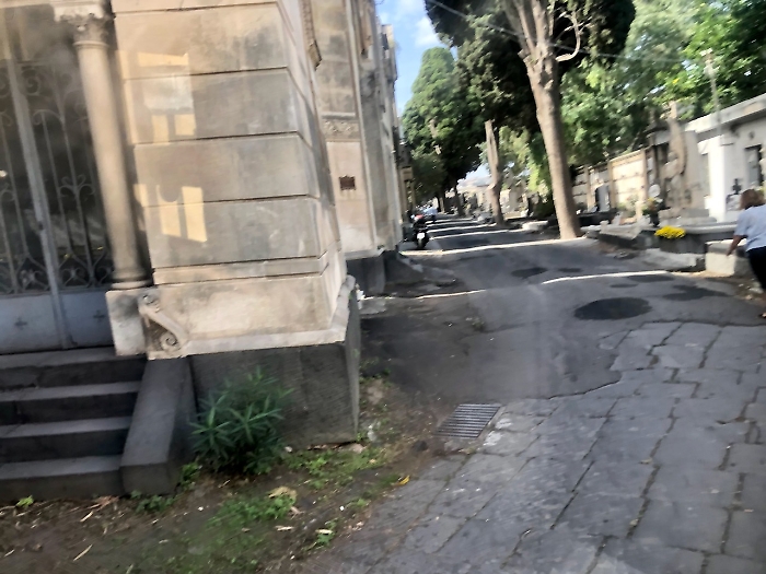 C9E0AF26-0744-4BB2-A5CA-A010A7A039ED