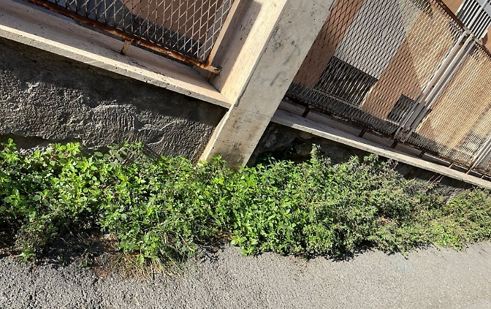 WhatsApp-Image-2023-11-11-at-09.15.59-1