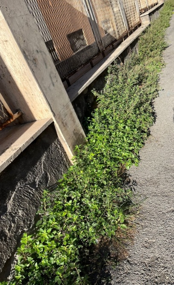 WhatsApp-Image-2023-11-11-at-09.15.59