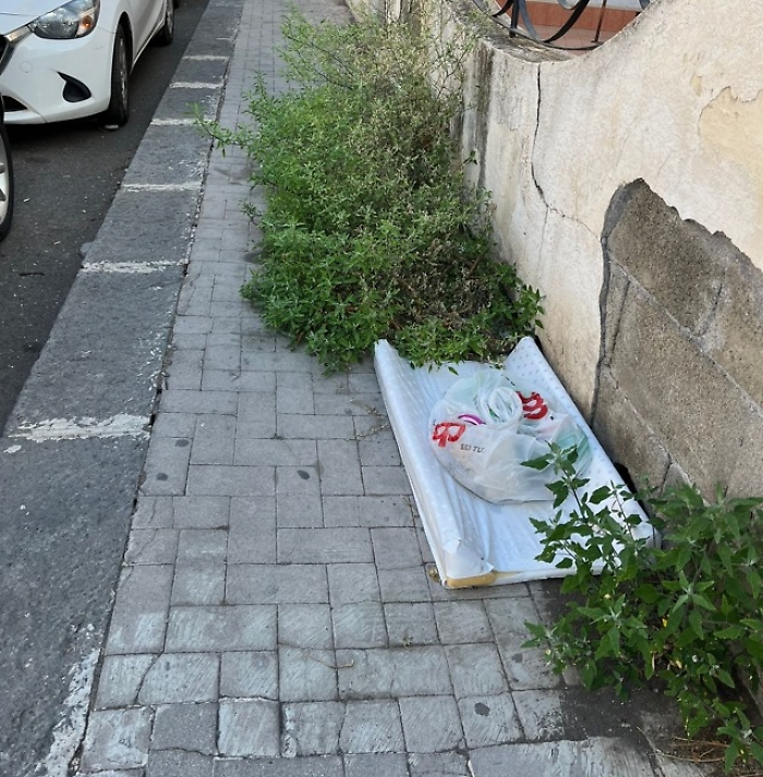 WhatsApp-Image-2023-11-11-at-09.16.00