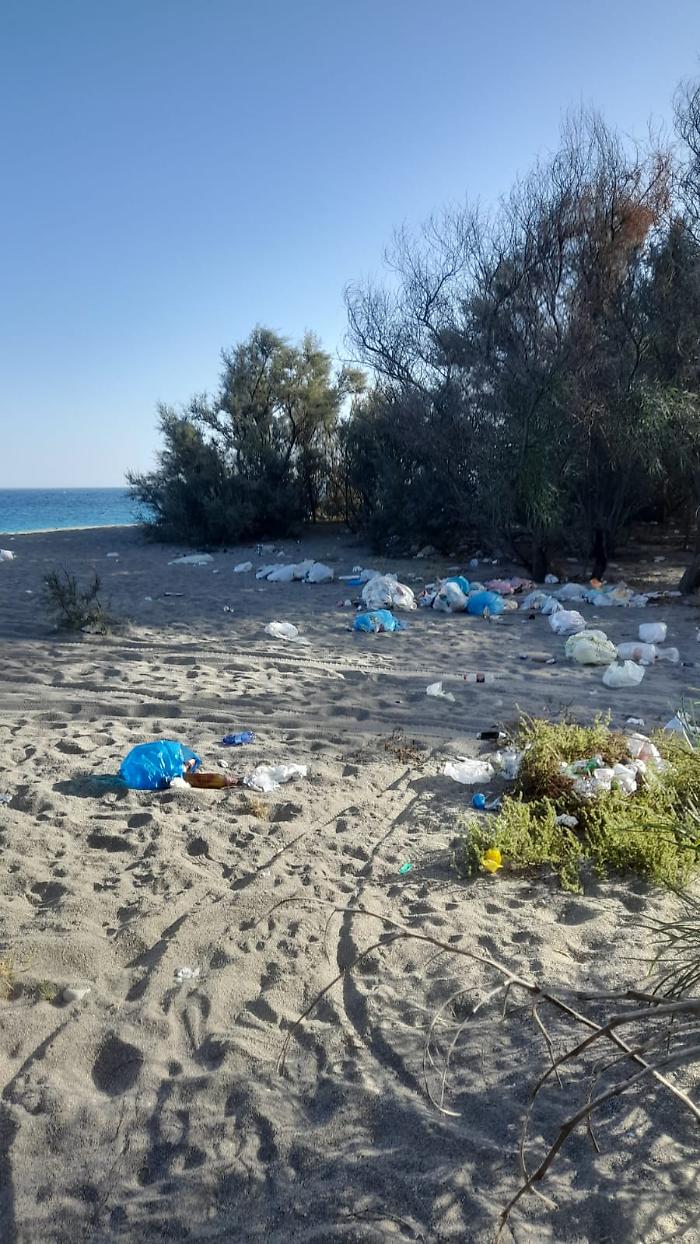 WhatsApp-Image-2023-11-12-at-12.01.46