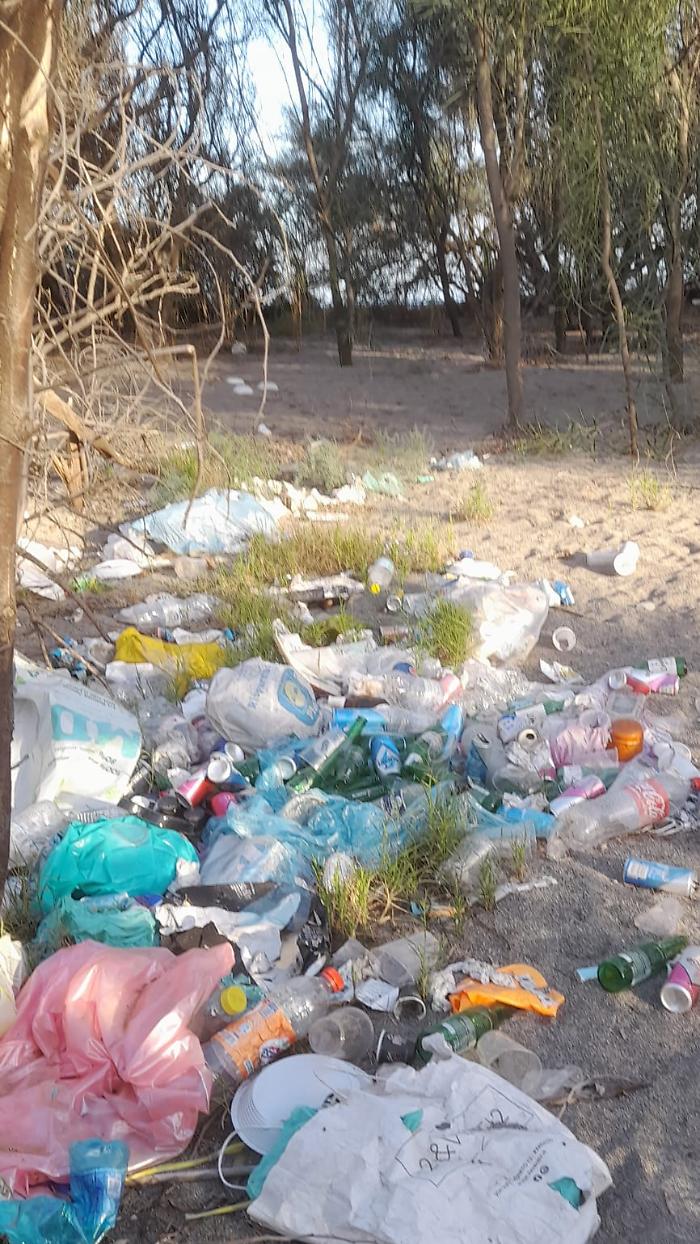 WhatsApp-Image-2023-11-12-at-12.02.41