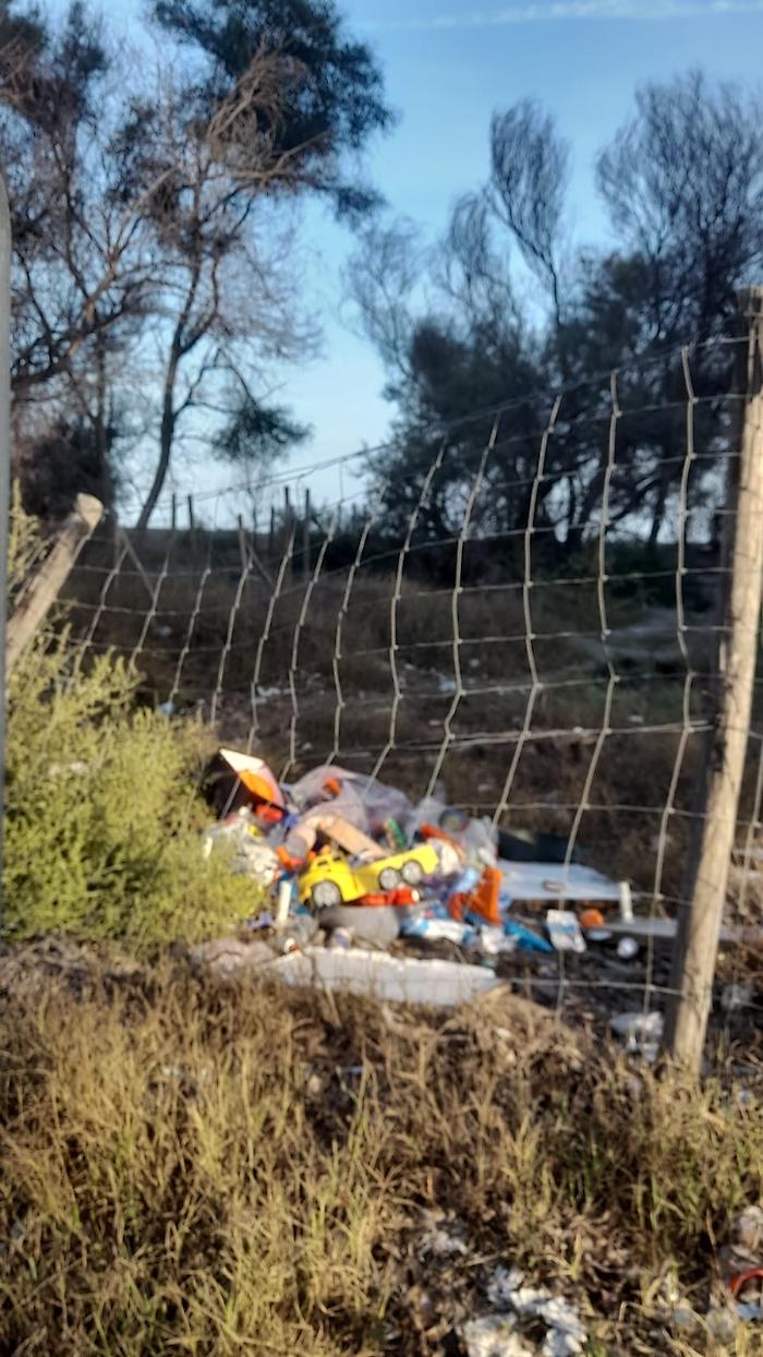 WhatsApp-Image-2023-11-12-at-12.04.16