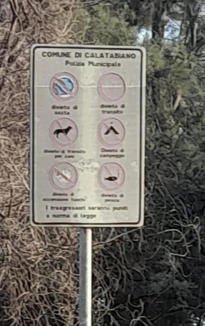 WhatsApp-Image-2023-11-12-at-12.04.53