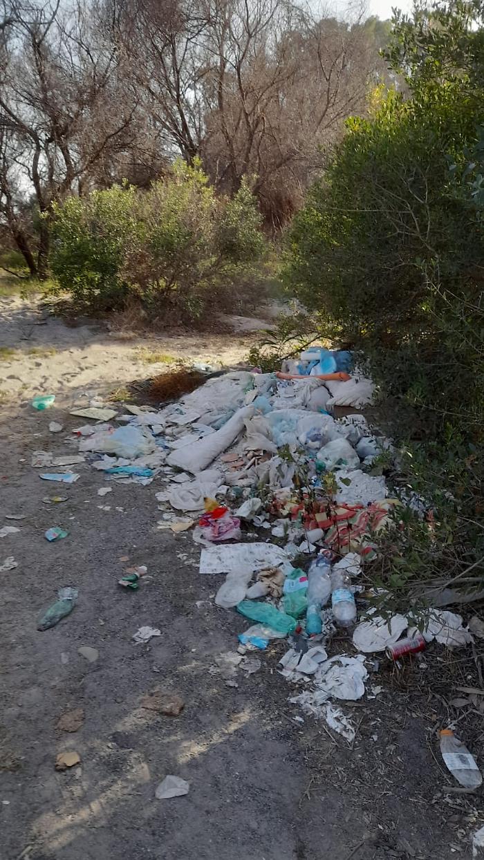 WhatsApp-Image-2023-11-12-at-12.05.54