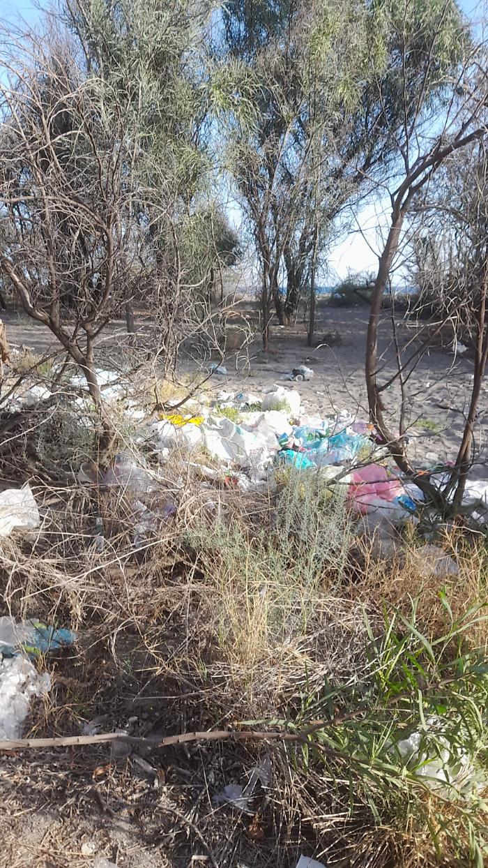 WhatsApp-Image-2023-11-12-at-12.06.25