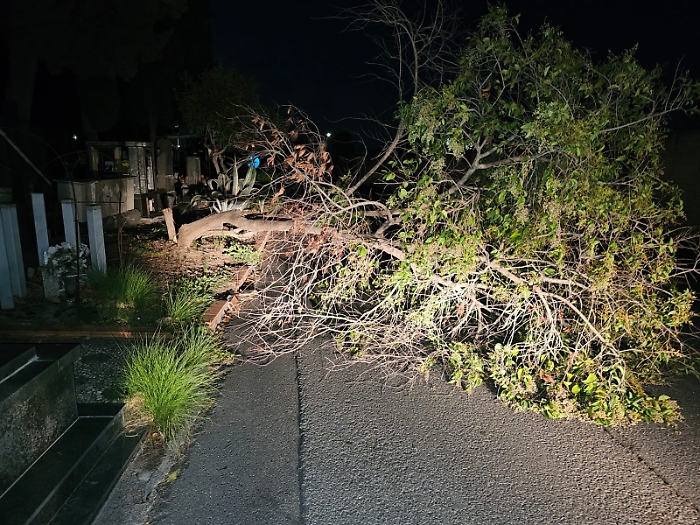 dc814168-1f87-4efd-a810-9902634f84d8-1