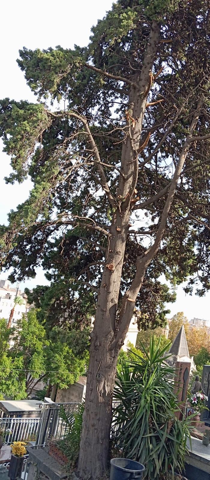 WhatsApp-Image-2023-12-01-at-13.07.40