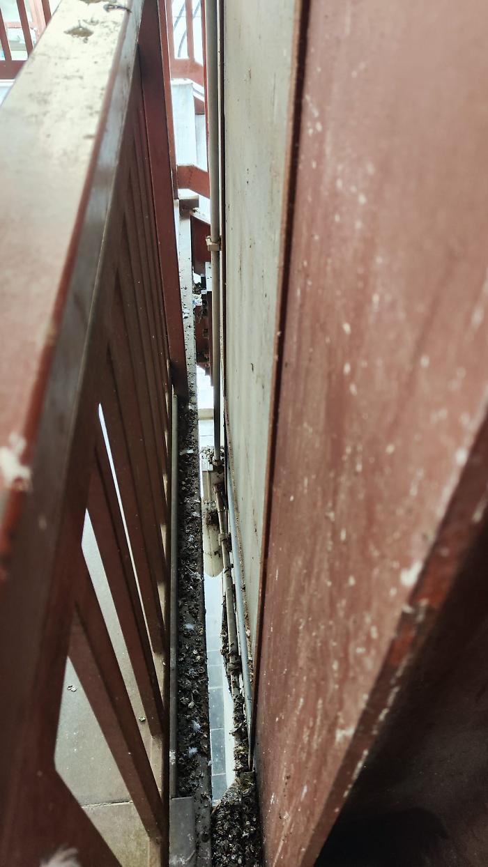 WhatsApp-Image-2023-12-06-at-14.55.19