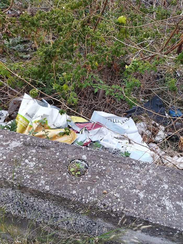 WhatsApp-Image-2023-12-23-at-11.59.02