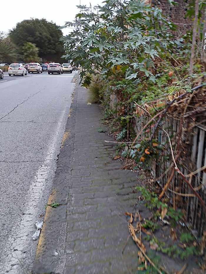 WhatsApp-Image-2023-12-23-at-11.59.04-1