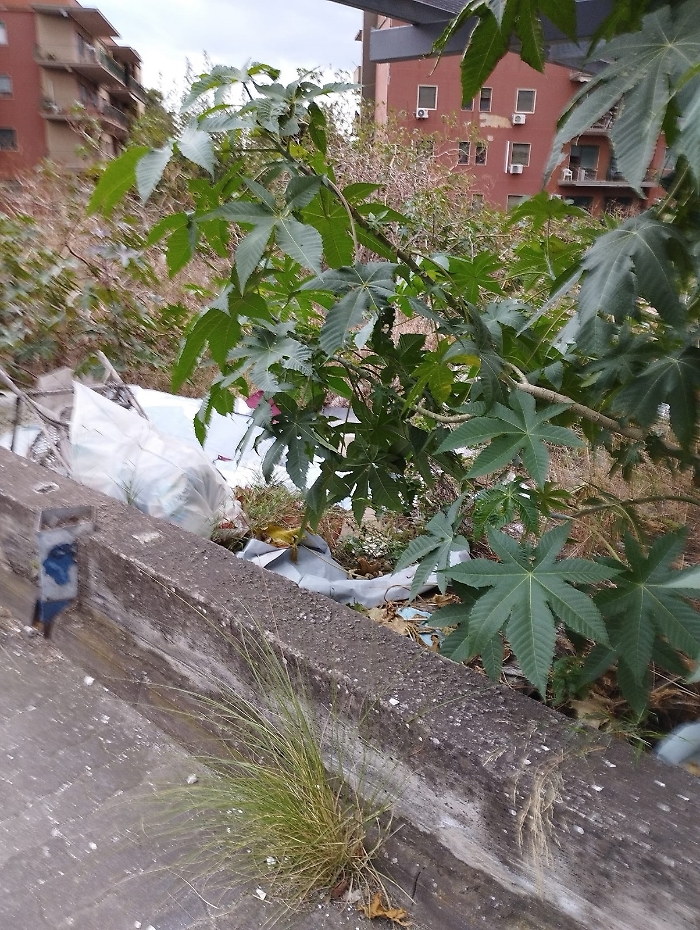 WhatsApp-Image-2023-12-23-at-11.59.04-2