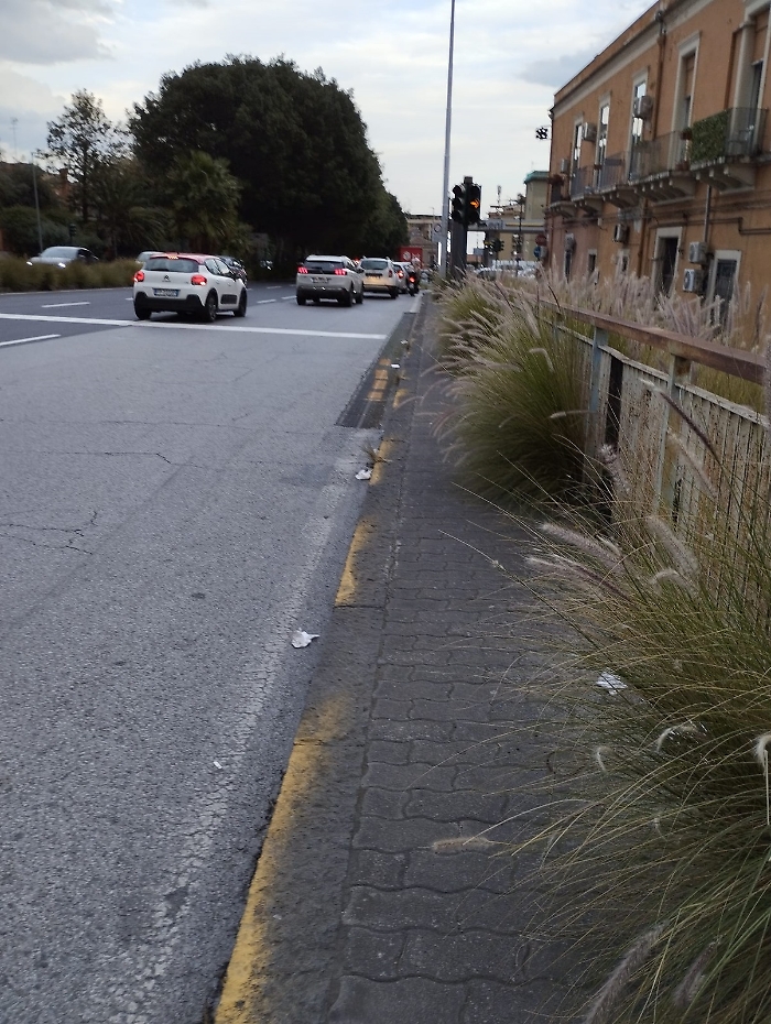 WhatsApp-Image-2023-12-23-at-11.59.04