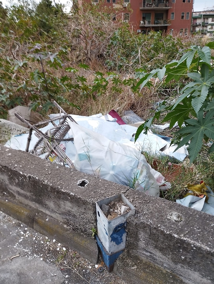 WhatsApp-Image-2023-12-23-at-11.59.05