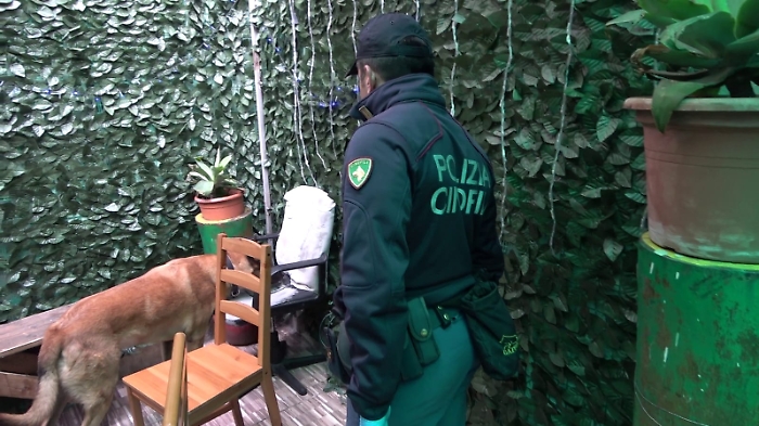 CONTROLLI DELLA POLIZIA DI STATO NEL QUARTIERE SAN BERILLO, DENUNCIATO UN 26ENNE PER SPACCIO DI STUPEFACENTI (2)