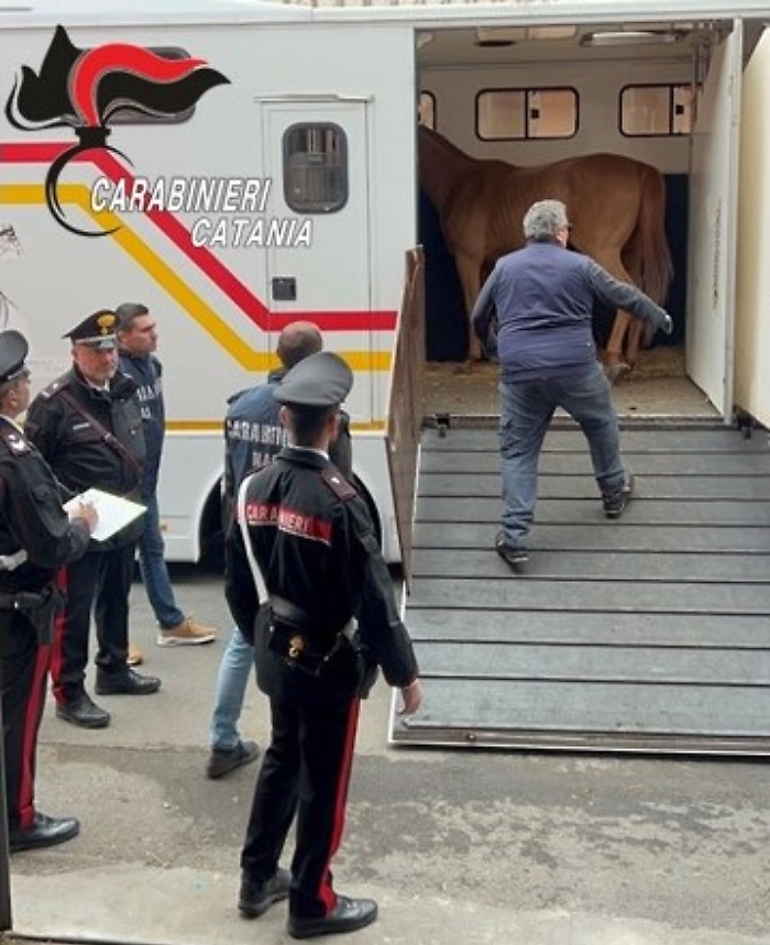 Foto-3-CC-Piazza-Dante