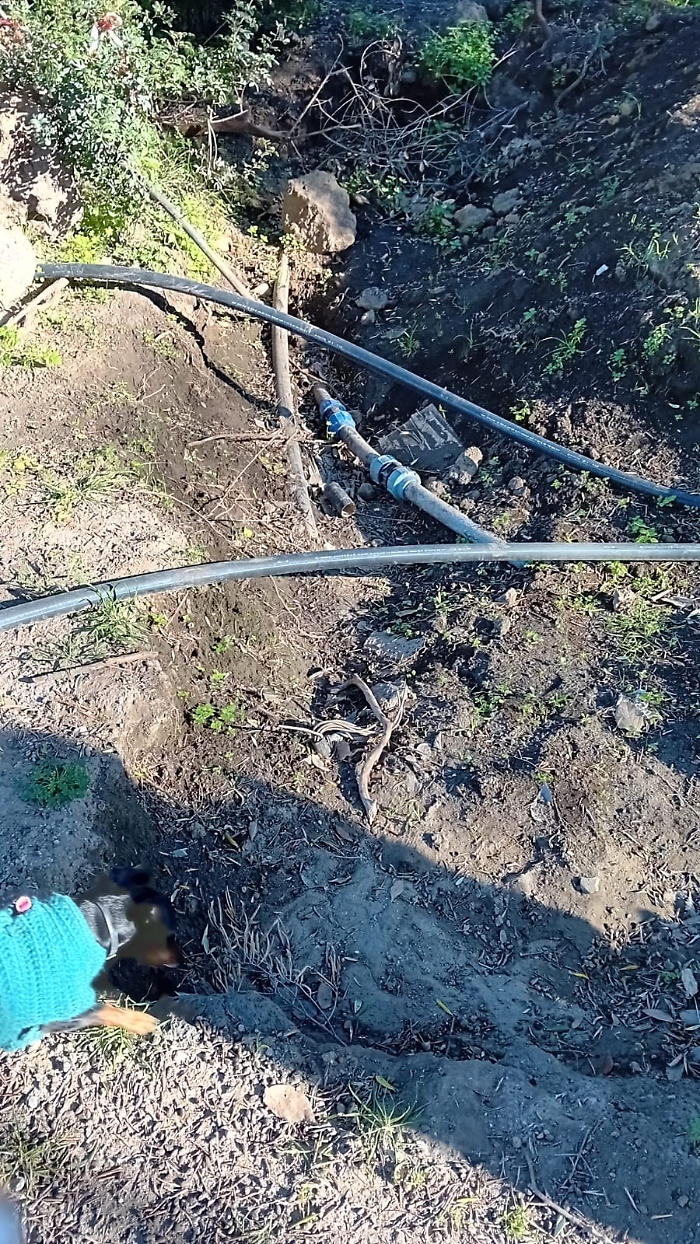 WhatsApp-Image-2024-02-07-at-17.29.00-2