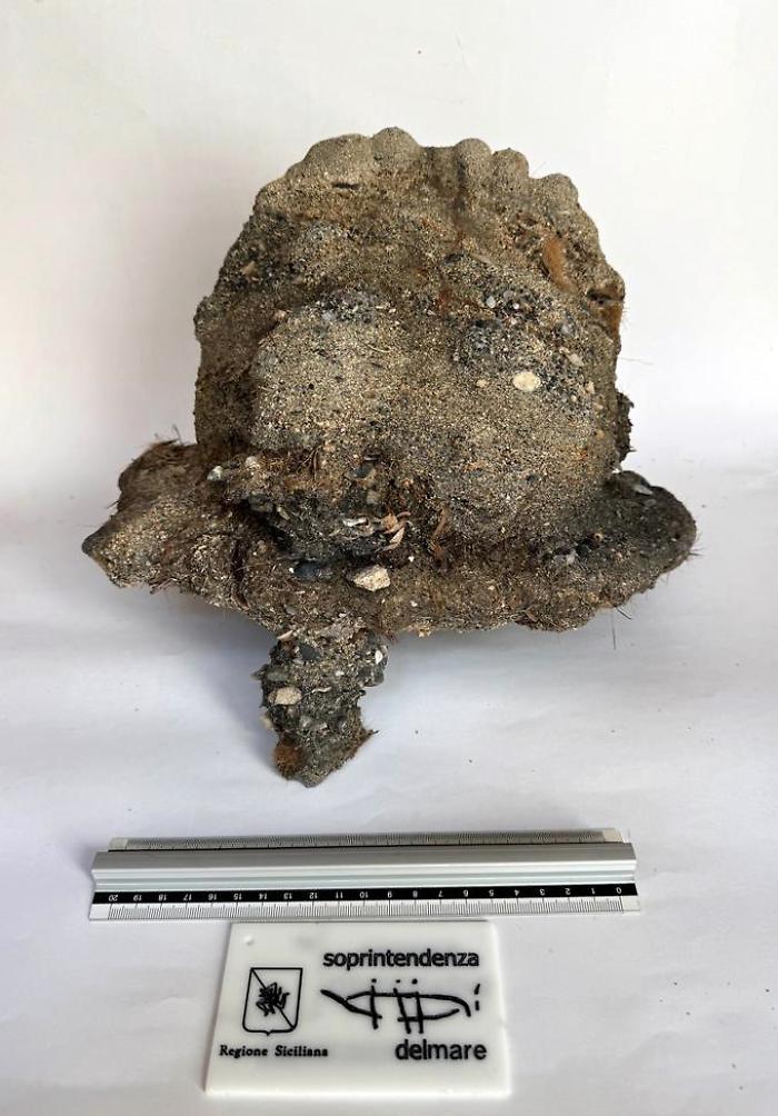 Elmo-01_photo-Salvo-Emma