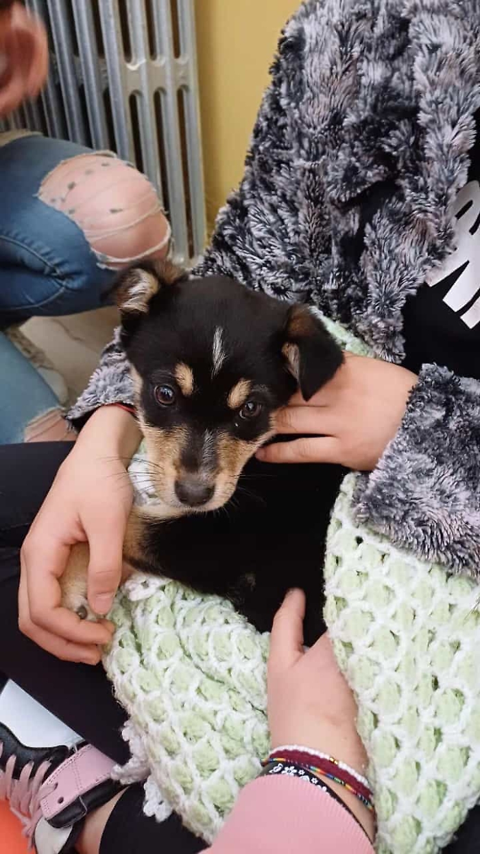 WhatsApp-Image-2024-03-06-at-15.35.16