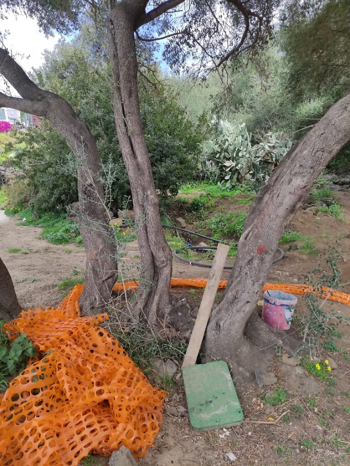 WhatsApp-Image-2024-03-20-at-17.05.48-2