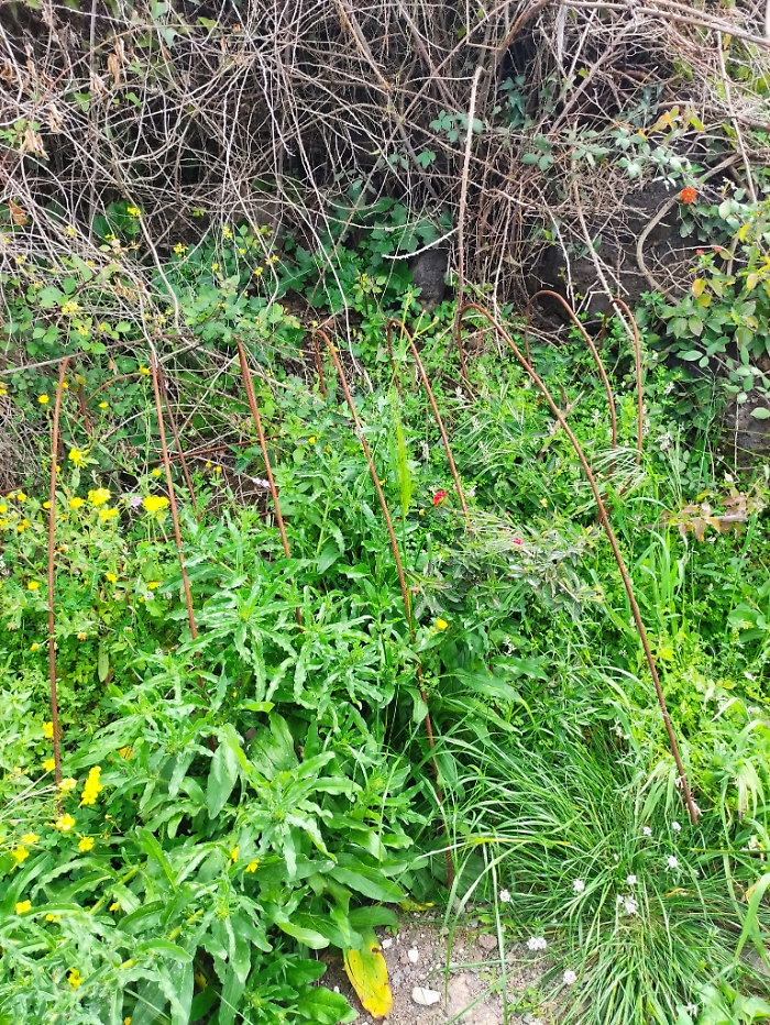 WhatsApp-Image-2024-03-20-at-17.05.49