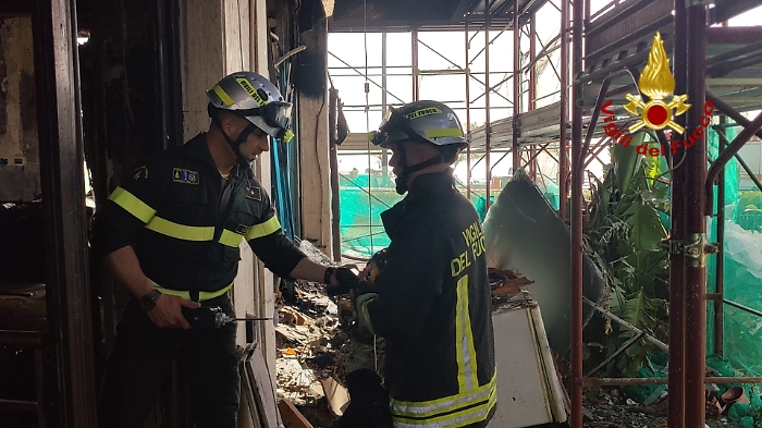 WhatsApp-Image-2024-04-02-at-11.05.45-AM-1