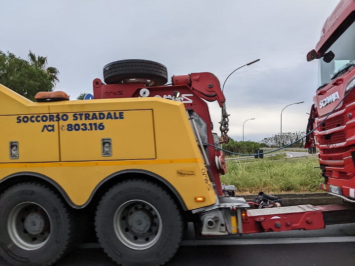 Immagine-WhatsApp-2024-05-08-ore-19.16.28_22c6161c