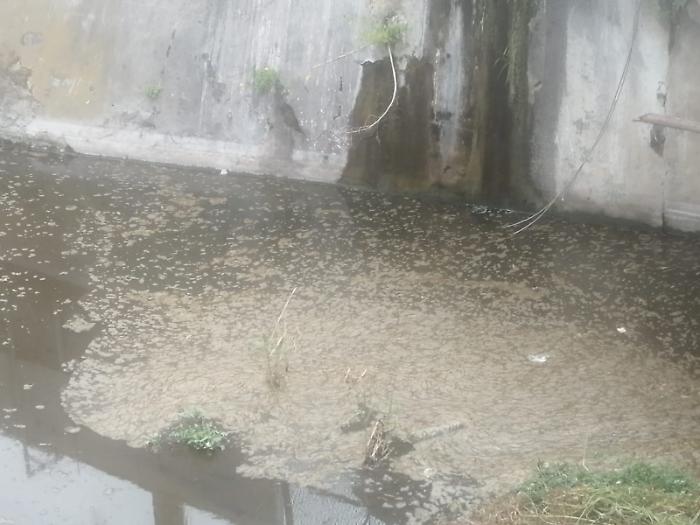 WhatsApp-Image-2024-05-16-at-12.31.57-1