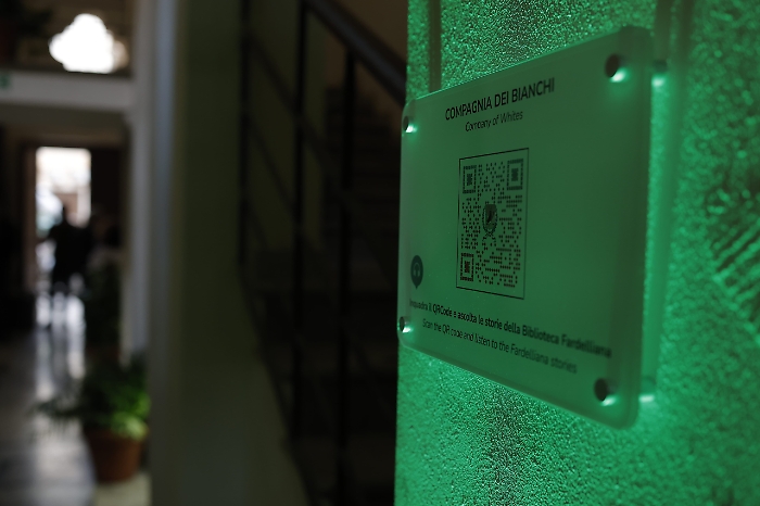 90049af0-3efd-4547-84c3-08dd0c74e58a