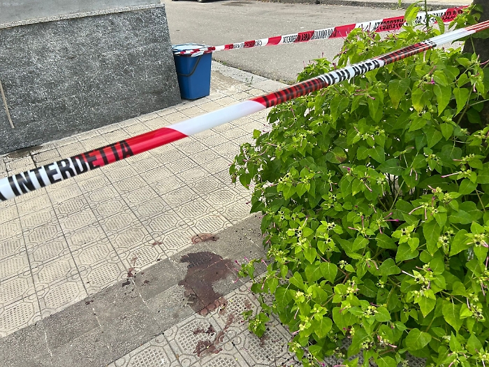 Immagine-WhatsApp-2024-06-26-ore-15.37.58_c789925d