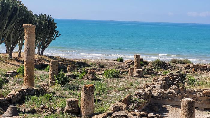 WhatsApp-Image-2024-06-05-at-15.13.15-1