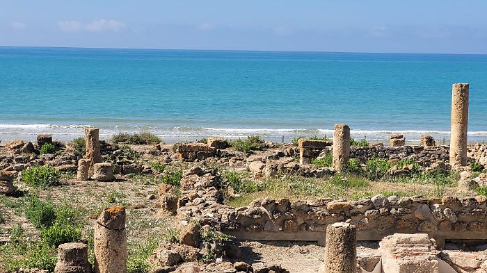 WhatsApp-Image-2024-06-05-at-15.13.15