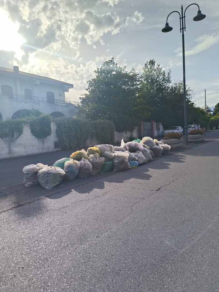 WhatsApp-Image-2024-06-06-at-19.39.48