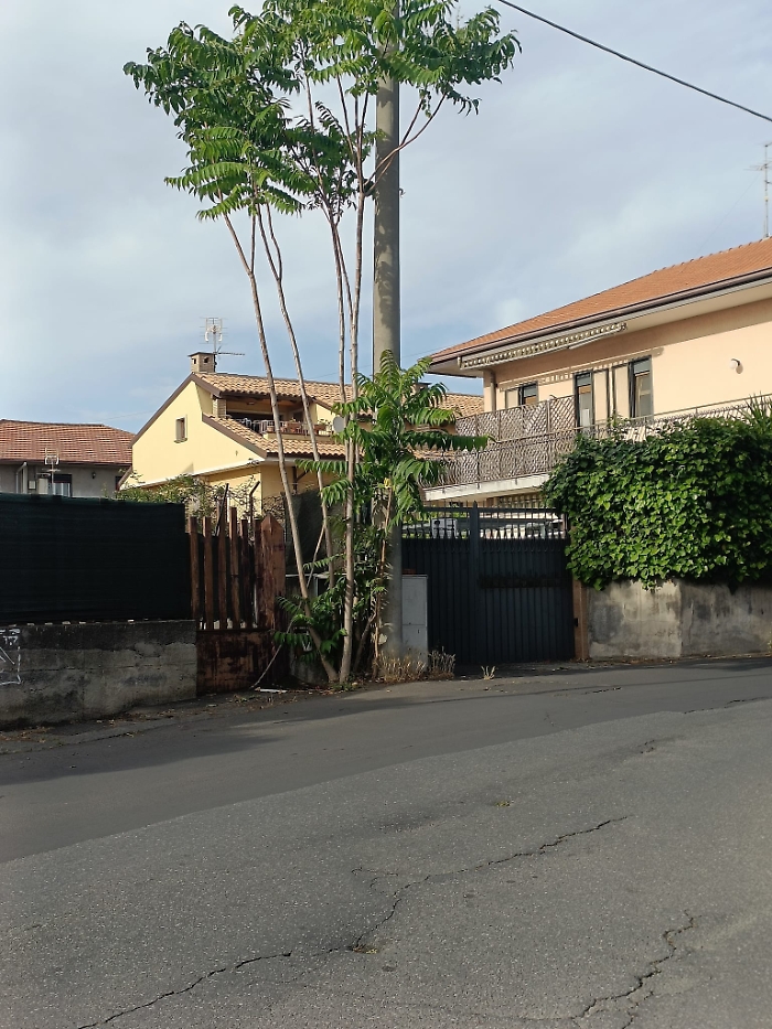 WhatsApp-Image-2024-06-06-at-19.39.49-2