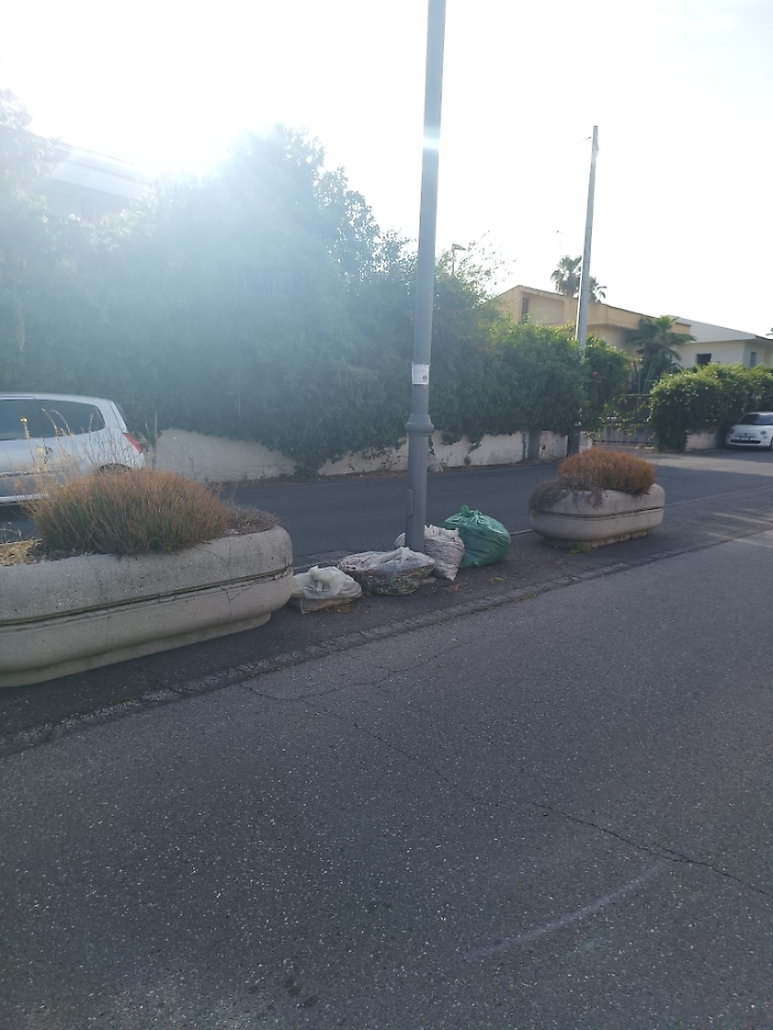 WhatsApp-Image-2024-06-06-at-19.39.49