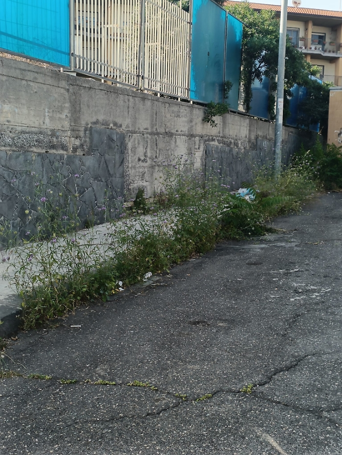 WhatsApp-Image-2024-06-06-at-19.39.50-2